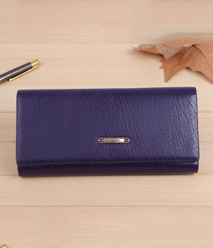 Travelling Wallet BG517 Dark Blue