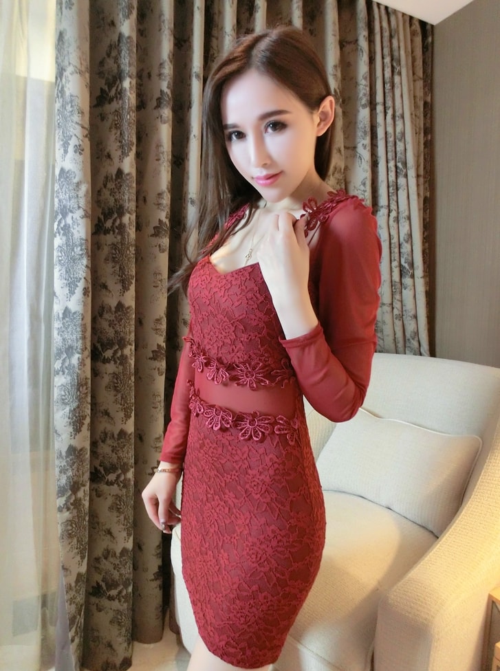 Lace Dress DS3988 Red Wine