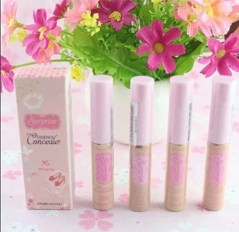 Essense Liquid Concealer Etude House 5g