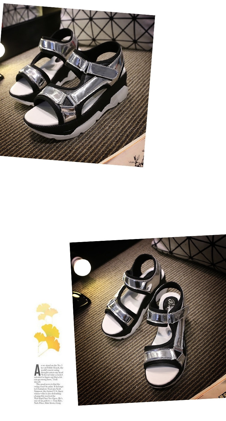 Silver Europe Sandal Import