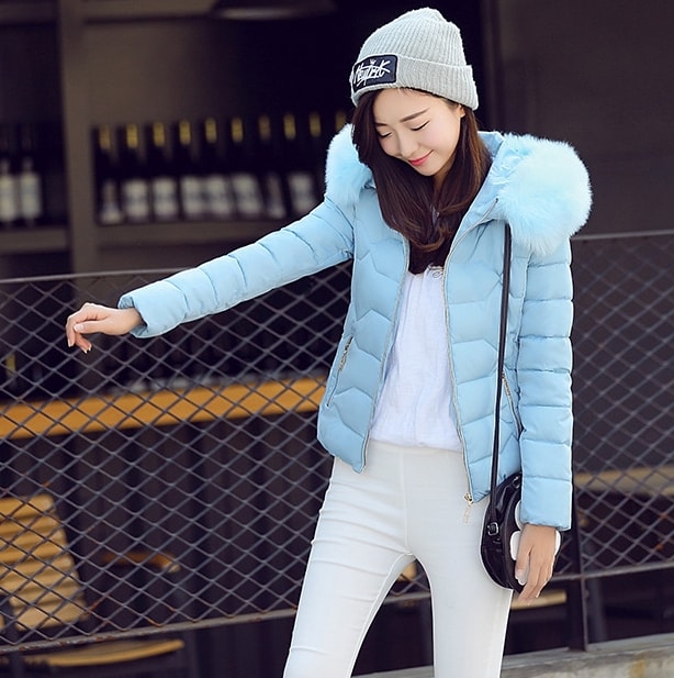 Jacket Winter Import High Quality JC919 Blue