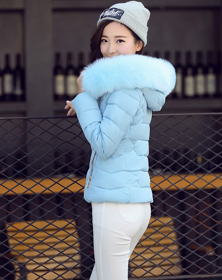 Jacket Winter Import High Quality JC919 Blue