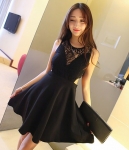 Elegant Lace Dress DS4033 Black