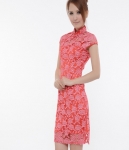 Lace Cheongsam Import DS4168 Rose Red