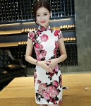 Classic Cheongsam Import DS4319 White