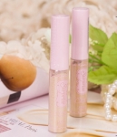 Essense Liquid Concealer Etude House 5g