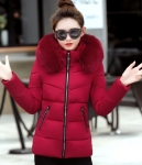 Winter Jacket Hoodie Korea Import JC908 Red