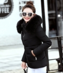 Jacket Winter Hoodie Korea Import JC911 Black