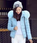 Jacket Winter Import High Quality JC919 Blue