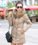 Jacket Winter Korea High Quality JC947 Khaki