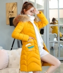 Premium Long Jacket Import JC961 Yellow