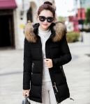 Premium Jacket Winter Import JC975 Black