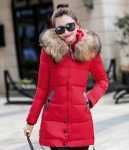 Premium Jacket Winter Import JC976 Red